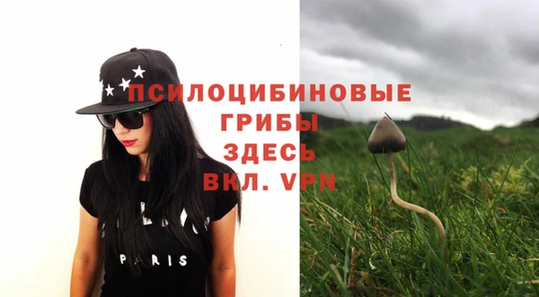 Альфа ПВП Новозыбков