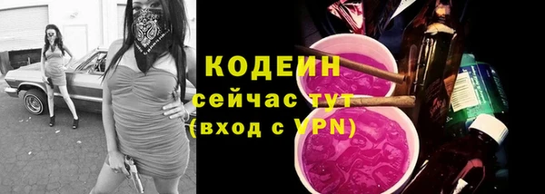 Альфа ПВП Новозыбков