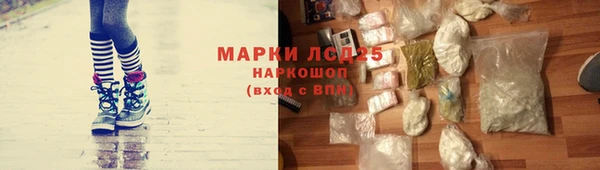 Альфа ПВП Новозыбков