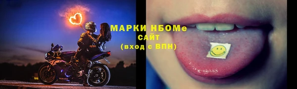 Альфа ПВП Новозыбков