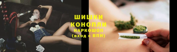 Альфа ПВП Новозыбков