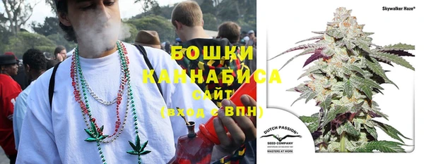 Альфа ПВП Новозыбков