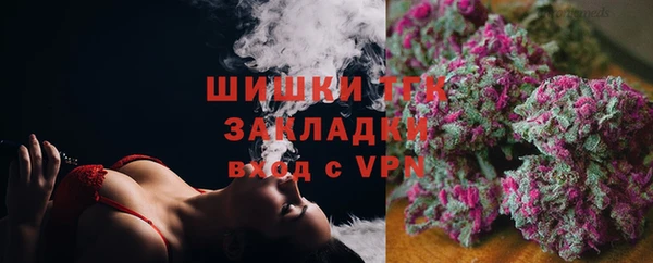 Альфа ПВП Новозыбков