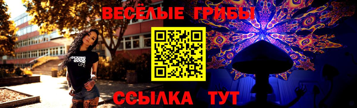 Псилоцибиновые грибы Magic Shrooms Заволжье