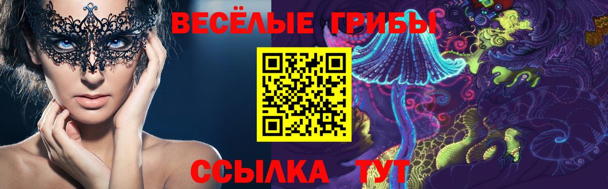 Псилоцибиновые грибы Cubensis  Псилоцибиновые грибы Cubensis  Вход с VPN  продажа наркотиков  Заволжье 